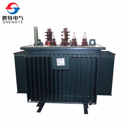 100 120 125 150 160 167 170 200 220 250kVA 10kV 0,4kV fabbrica di trasformatori di distribuzione di energia elettrica trifase riempita di olio